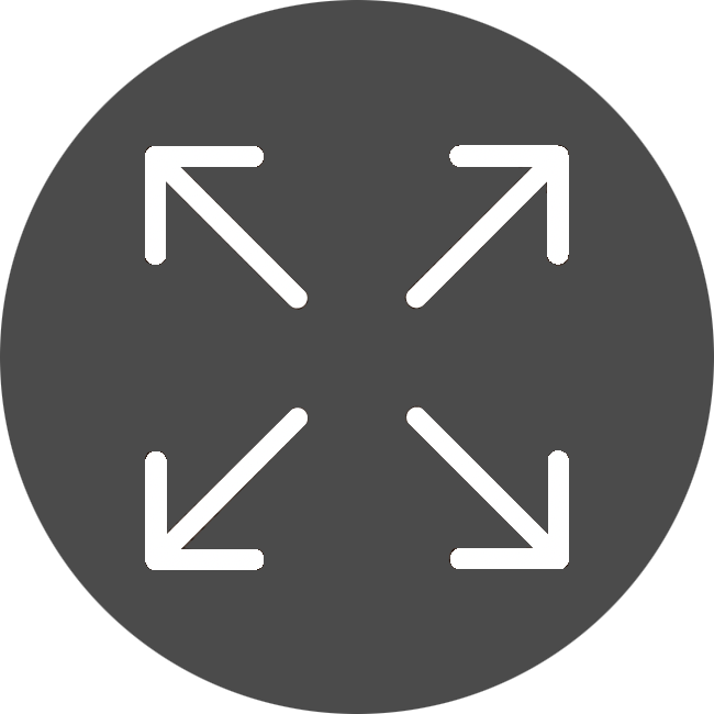 Icon 1