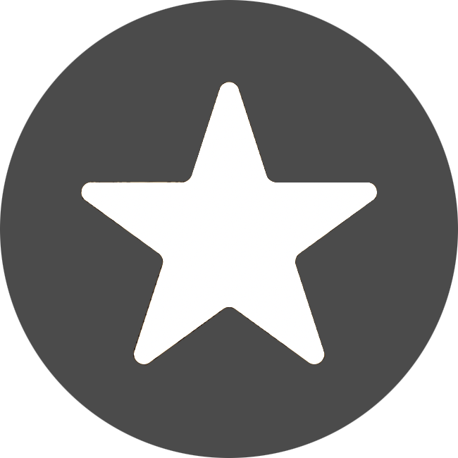 Icon 10