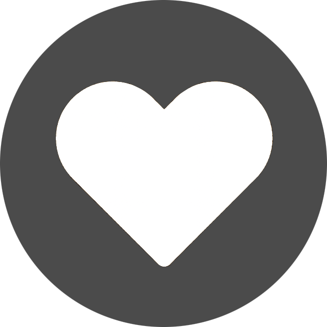Icon 11